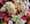 IMG-20260417-WA0009