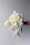 david austin florametz milles fleurs new roses masterpieces (118)