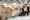 Betula box 2024 Moederdag drukte LR-39