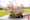 Bright Vivid Wedding Mei Juni 2022 LR-18