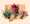 FGS.flowers South African products