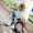 Extra benefits_ Bicycles and Flowers_Our workplace_ FM group