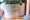Urban Tane JANFEB 2023 LR-34
