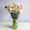 Dianthus-info mixbos LR-61