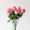 FlowerTales MeiJuni2017 LR-800