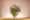 DPK Masterpieces Offer Frederic Dupre FM Group LR-28