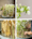 Sub 2 work moodboard