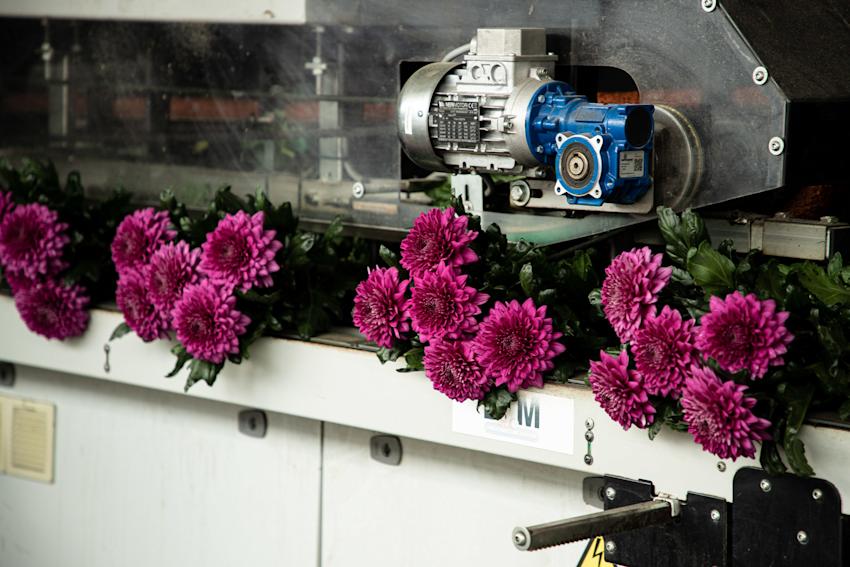 Arcadia bezoek 2023 LR-1