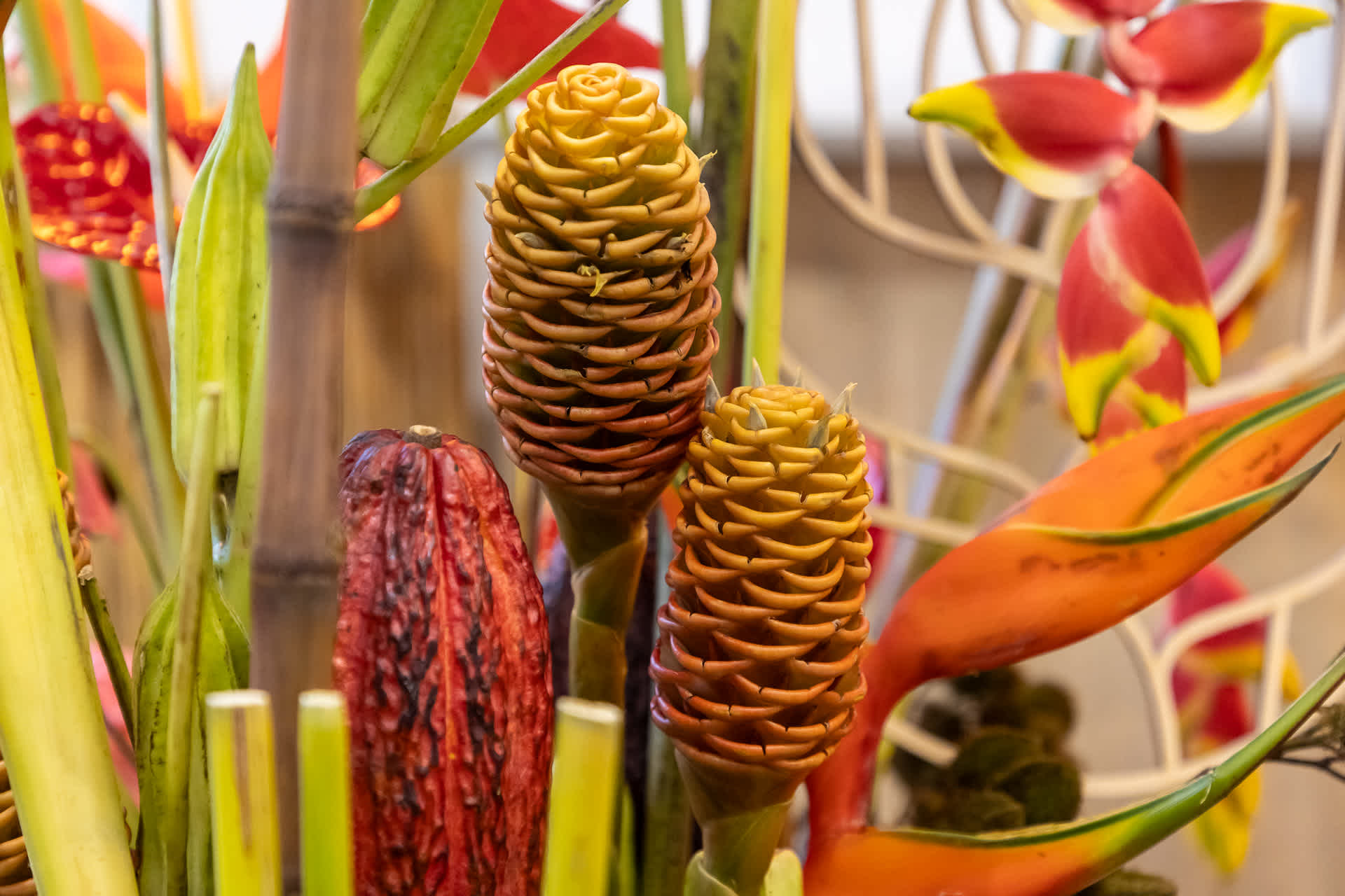 IPM 2026 Aloha FM Group FleuraMetz LR-215