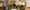 Bloomshare 2024 Betula LR-64