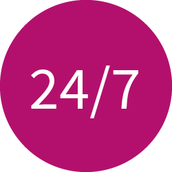 holip website over ons icon 247