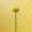 Bright Vivid bloemen solo MRTAPR 2023 LR-7