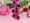 Bright Vivid Bloemen JULAUG 2023 LR-53