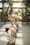 342 DSC00058