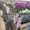 IMG-20230718-WA0004