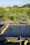Sedimentation tanks