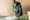Masterpieces Offer Nicolaus LR-452