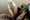 Planten Bloomscape LR-24