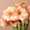 Bloomscape Kerst winter LR-145