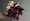 always tag @milles fleurs (7)