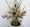 taggen @naira manukyan blumist (2) (1)