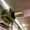 DSCF0504
