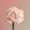 Dianthus Bloomscape LR-43