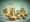 JC Herbst 24 052