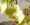1022014-461948