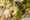 Creatie Masterpieces Offer Stephane Chantaloube FM Group LR-5