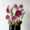 MasterpiecesNoFilter Anthogether wedding LR-21 @milles fleurs (18)