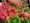 IMG-20260417-WA0034