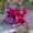 Taggen@ milles fleurs (311)
