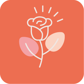 hilverda de boer inconen-cut flower