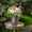 Masterpieces no filter DAR Richelle Vervoorn LR-1