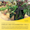 Annotation 2025-01-15 151531