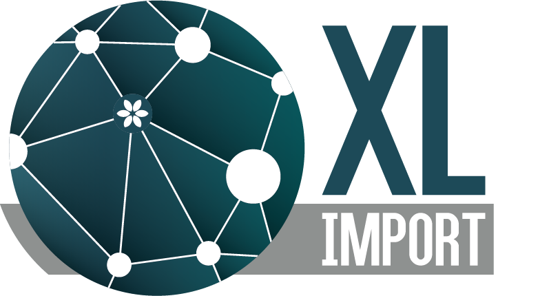 XL Import logo