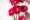 Viva Magenta Gerbera HR-8