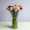 Dianthus-info mixbos LR-87