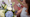 brands - Florist -klik- Verdel