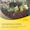Annotation 2025-01-16 144333