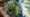Pure Solas locatie MRTAPR 2023 LR-55