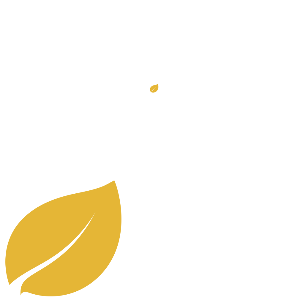 We are flowers| text- image asset
