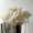 MasterpiecesNoFilter Anthogether wedding LR-21 @milles fleurs (10)