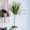 Pure Solas MEIJUN 2023 LR-34