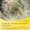 Annotation 2025-01-16 152431