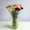 Dianthus-info mixbos LR-71