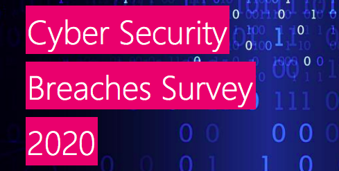 Cyber Breaches Survey