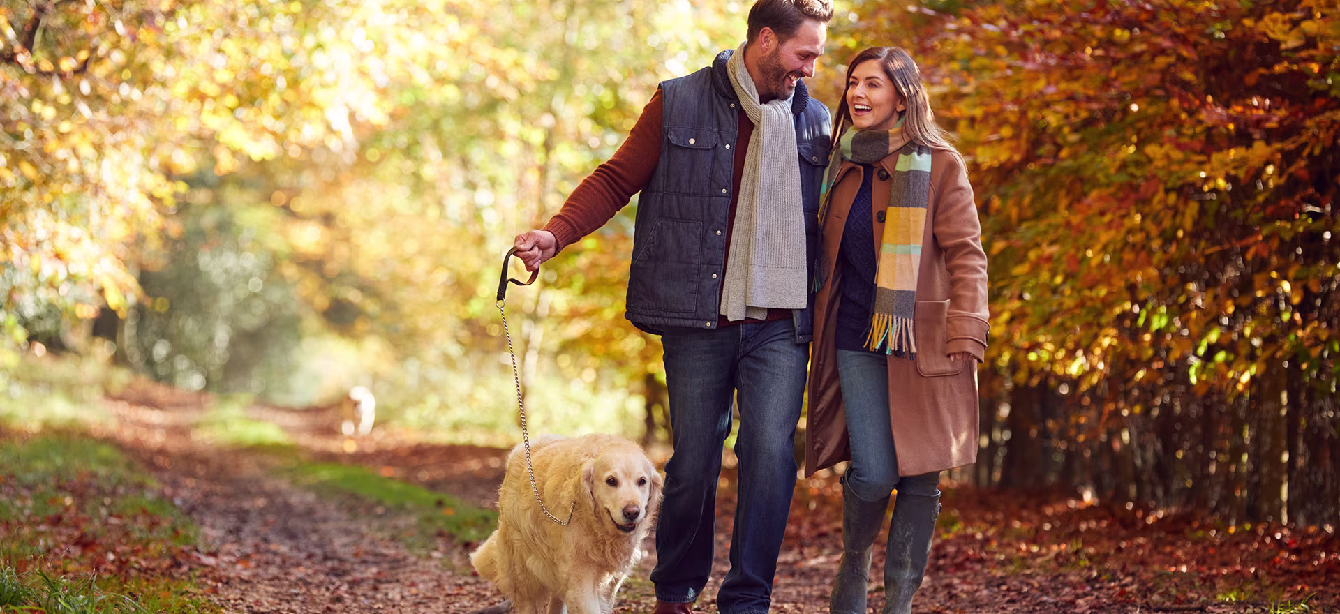 Stylish woman poses in a brown autumn outfit