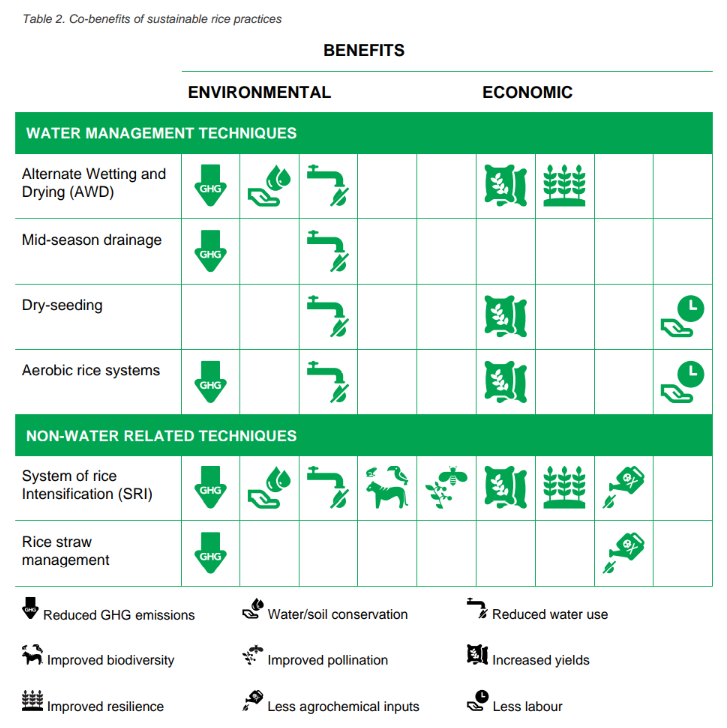 Co-benefits of sustainable rice practices